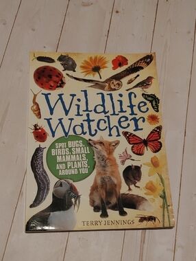 Wildlife Catcher Spot Bugs, Birds, Small Animals Kids Book Terry Jennings